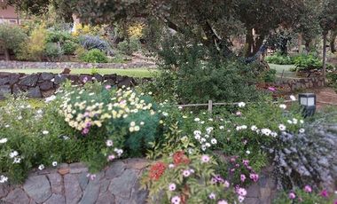 Parcela en Venta en SANTA SOFÍA DE LO CAÑAS