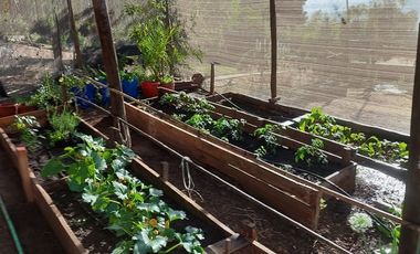 Parcela en Venta en SANTA SOFÍA DE LO CAÑAS