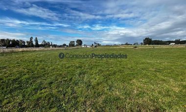 Sitio en Venta en VENTA EXCLUSIVAS PARCELAS / OSORNO RUTA INTERNACIONAL