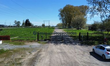 Sitio en Venta en VENTA EXCLUSIVAS PARCELAS / OSORNO RUTA INTERNACIONAL