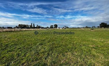 Sitio en Venta en VENTA EXCLUSIVAS PARCELAS / OSORNO RUTA INTERNACIONAL