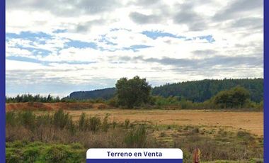 Sitio en Venta en Av Andalien Sur 306