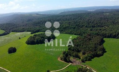 Agrícola en Venta en Campo agrícola 215 ha. Lechero, ganadero