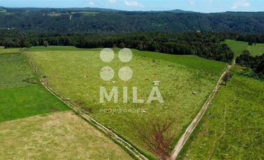 Agrícola en Venta en Campo agrícola 215 ha. Lechero, ganadero