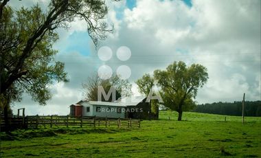 Agrícola en Venta en Campo agrícola 215 ha. Lechero, ganadero