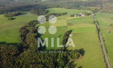 Agrícola en Venta en Campo agrícola 215 ha. Lechero, ganadero