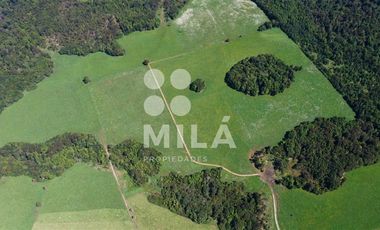 Agrícola en Venta en Campo agrícola 215 ha. Lechero, ganadero