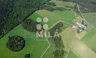 Agrícola en Venta en Campo agrícola 215 ha. Lechero, ganadero