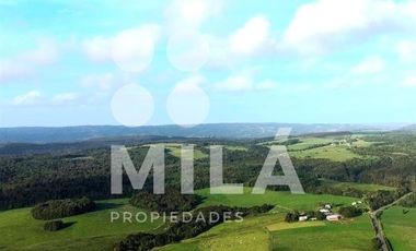 Agrícola en Venta en Campo agrícola 215 ha. Lechero, ganadero