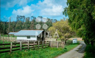 Agrícola en Venta en Campo agrícola 215 ha. Lechero, ganadero