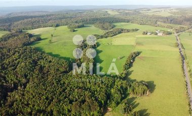 Agrícola en Venta en Campo agrícola 215 ha. Lechero, ganadero