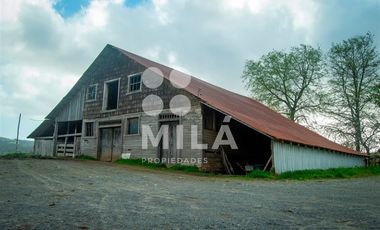 Agrícola en Venta en Campo agrícola 215 ha. Lechero, ganadero