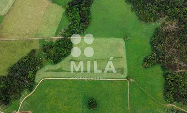 Agrícola en Venta en Campo agrícola 215 ha. Lechero, ganadero