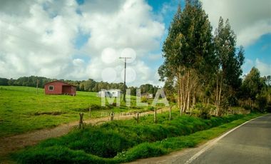Agrícola en Venta en Campo agrícola 215 ha. Lechero, ganadero