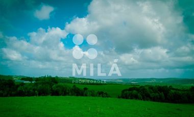 Agrícola en Venta en Campo agrícola 215 ha. Lechero, ganadero