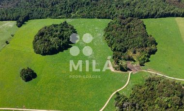 Agrícola en Venta en Campo agrícola 215 ha. Lechero, ganadero