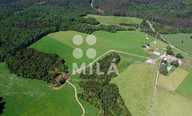 Agrícola en Venta en Campo agrícola 215 ha. Lechero, ganadero