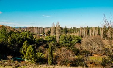 Casa en Venta en Quinta El Maule, Sector Las Tinajas
