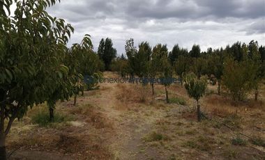 Casa en Venta en Quinta El Maule, Sector Las Tinajas