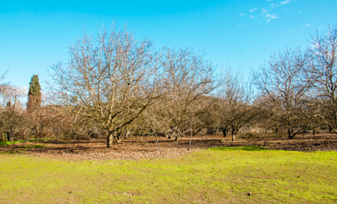 Casa en Venta en Quinta El Maule, Sector Las Tinajas