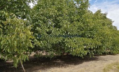 Casa en Venta en Quinta El Maule, Sector Las Tinajas