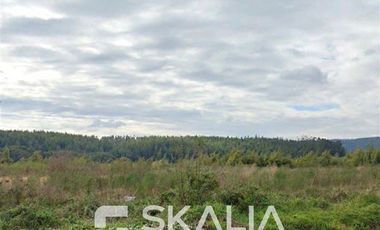 Terreno Construccion en Venta en Av Andalien Sur 306