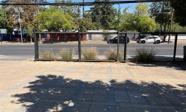 Local Comercial en Arriendo en Luis Pasteur / Los Gomeros