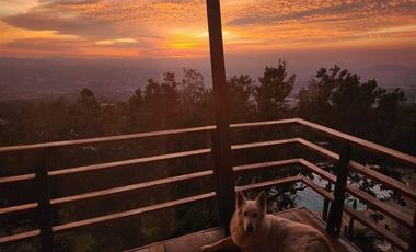 Casa en Venta en SANTA SOFÍA DE LO CAÑAS