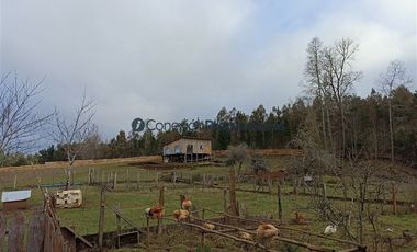 Casa en Venta en VENTA CAMPO DE 8 HECTÁREAS CON CASA EN TEGUALDA