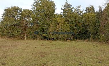 Casa en Venta en VENTA CAMPO DE 8 HECTÁREAS CON CASA EN TEGUALDA