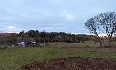 Casa en Venta en VENTA CAMPO DE 8 HECTÁREAS CON CASA EN TEGUALDA
