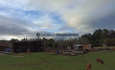 Casa en Venta en VENTA CAMPO DE 8 HECTÁREAS CON CASA EN TEGUALDA