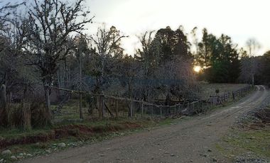 Casa en Venta en VENTA CAMPO DE 8 HECTÁREAS CON CASA EN TEGUALDA