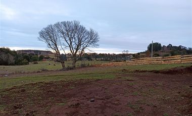 Casa en Venta en VENTA CAMPO DE 8 HECTÁREAS CON CASA EN TEGUALDA