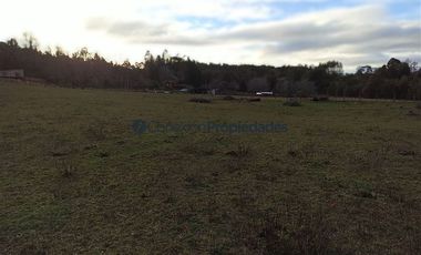 Casa en Venta en VENTA CAMPO DE 8 HECTÁREAS CON CASA EN TEGUALDA