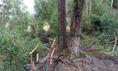 Casa en Venta en VENTA CAMPO DE 8 HECTÁREAS CON CASA EN TEGUALDA