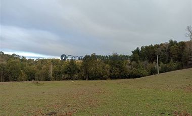 Casa en Venta en VENTA CAMPO DE 8 HECTÁREAS CON CASA EN TEGUALDA