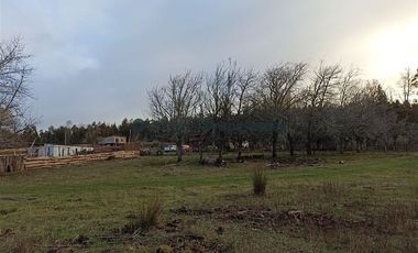 Casa en Venta en VENTA CAMPO DE 8 HECTÁREAS CON CASA EN TEGUALDA