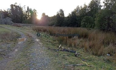 Casa en Venta en VENTA CAMPO DE 8 HECTÁREAS CON CASA EN TEGUALDA