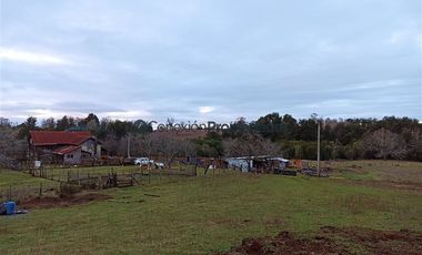Casa en Venta en VENTA CAMPO DE 8 HECTÁREAS CON CASA EN TEGUALDA