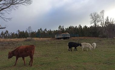 Casa en Venta en VENTA CAMPO DE 8 HECTÁREAS CON CASA EN TEGUALDA