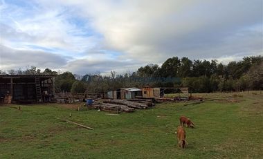 Casa en Venta en VENTA CAMPO DE 8 HECTÁREAS CON CASA EN TEGUALDA