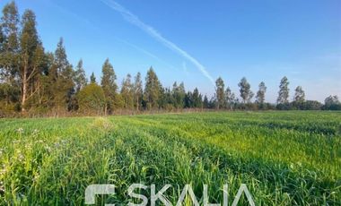 Sitio en Venta en Ruta s254 sin número