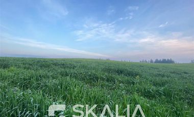 Sitio en Venta en Ruta s254 sin número