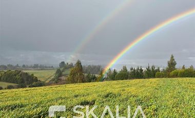 Sitio en Venta en Ruta s254 sin número