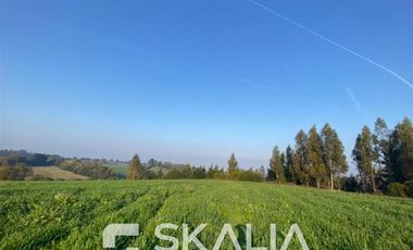 Sitio en Venta en Ruta s254 sin número