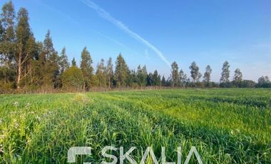 Sitio en Venta en Ruta s254 sin número