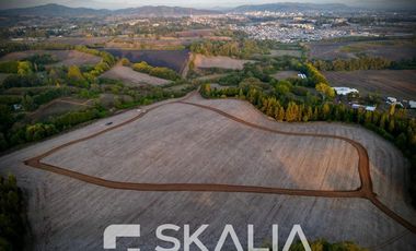 Sitio en Venta en Ruta s254 sin número