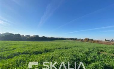 Sitio en Venta en Ruta s254 sin número