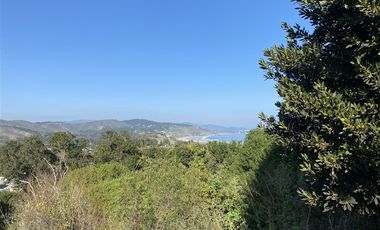 Casa en Venta en Cachagua central